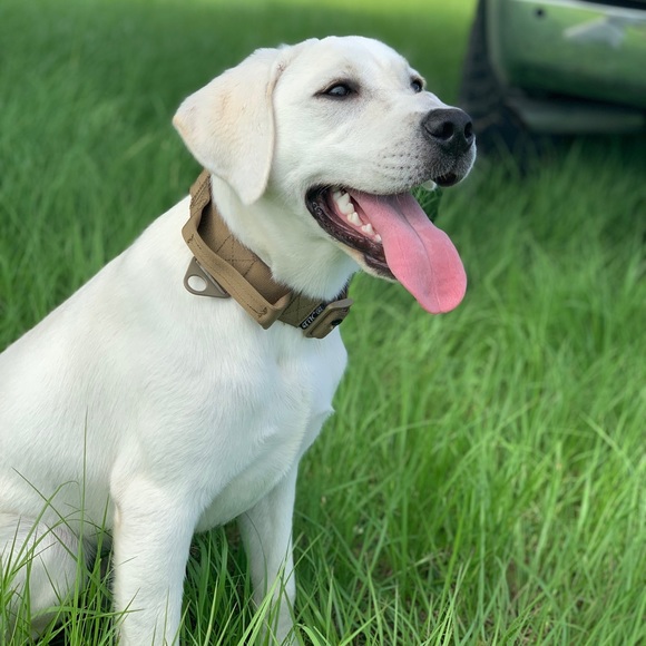 Meet your Posher - Picture 6 of 11